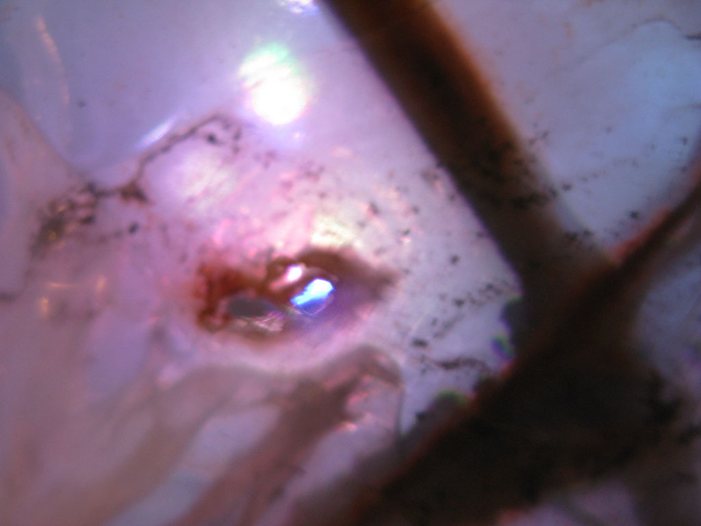 disc3