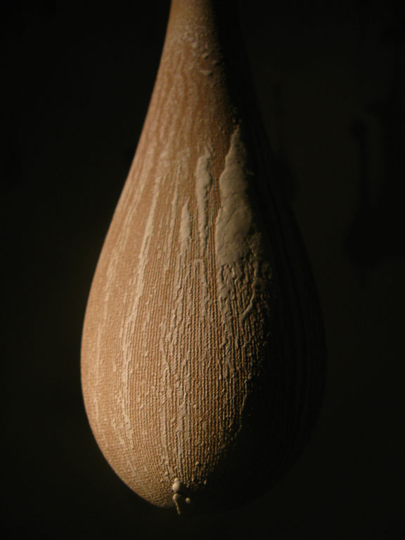 detail